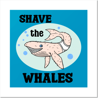 Shave the Whales Posters and Art